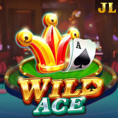 Wild Ace 33win5 slot game